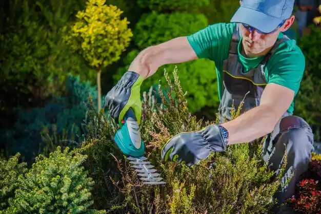 landscaping services Gasport